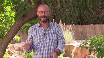 Previsió festes 2022 per Jordi Payà ON TV - El Periòdic d'Ontinyent