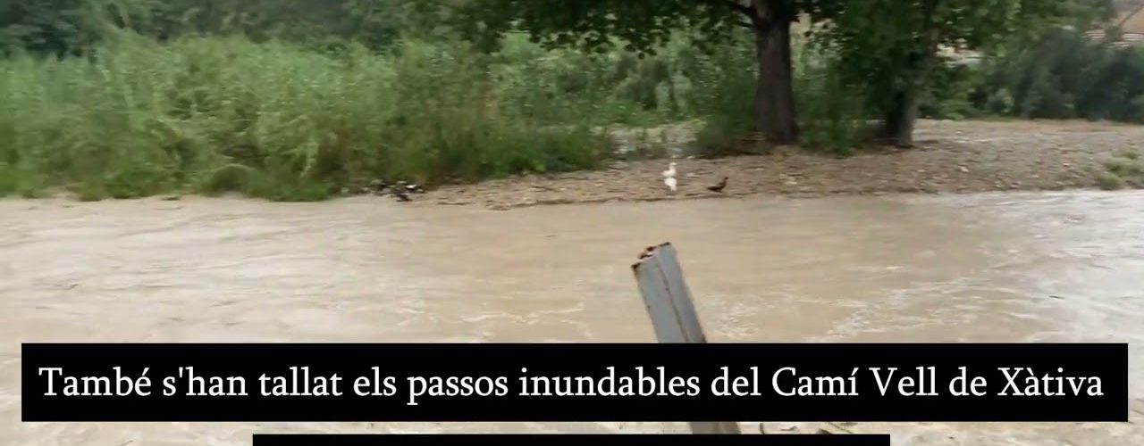 Pluja 2023 ON TV - El Periòdic d'Ontinyent